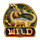 hidden treasures wild symbol icon