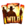 high noon riches wild symbol icon