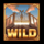 higher forces wild symbol icon