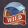 hit in vegas wild symbol icon