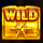 hit the bank hold and win wild symbol icon