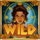 hope unleashed fortune rises wild symbol icon