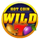 hot coin vip wild symbol icon