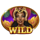 hot rio samba wild symbol icon