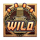 idnplay tesla wild symbol icon
