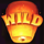 ignite the night wild symbol icon