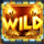 indi wild symbol icon