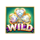 irish party wild symbol icon