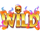 j mania 3 loose cannons multiplier wild symbol icon