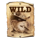 jackrabbit jackpots wild 2 symbol icon