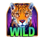 jaguar quest wild symbol icon