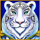jewel dragon valley of the tiger wild symbol icon