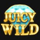 juicy joker mega moolah wild symbol 3 icon