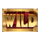jumanji powerpoints wild symbol icon