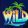 jungle beats wild symbol icon
