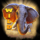 kalahari safari wild symbol icon