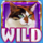 kitty glitter grand wild 5 symbol icon