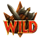 knights vs barbarians wild symbol icon