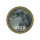 lady of the moon wild symbol icon