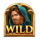 land of riches wild 1 symbol icon