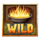 land of the free wild symbol icon