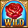 latin heart wild symbol icon