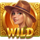 legacy of lost gold wild symbol icon