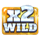 lions land hold and win wild symbol icon