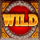 lost city of gold wild symbol icon