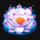 lotus charm wild symbol icon