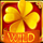 luck o the rainbow wild symbol icon