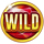 lucky 1spin4win hold and win wild symbol icon