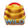lucky fortune door wild wild symbol icon