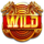 lucky golden coins wild symbol icon