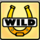 lucky streak mk2 wild symbol icon
