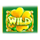 lucky wizard wild symbol icon