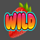 macaw gaming fruit wild symbol icon