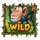 mad monkey wild symbol icon