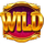magic treasures dragon wild symbol icon