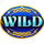 magic treasures gold enchanted shamrock wild 3 symbol icon