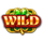 magic treasures gold enchanted shamrock wild symbol icon