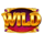 magic treasures hold and win lion wild symbol icon