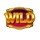 magic treasures tiger wild symbol icon
