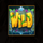 magical amazon wild symbol icon
