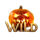 make the moon great again wild 2 symbol icon
