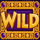 mayan fortunes bingo bounty wild symbol icon
