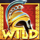 maze of fortune wild symbol icon