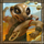 meerkat misfits wild 2 symbol icon