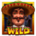 mexican ways wild symbol icon