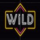 miami bonus wheel wild symbol icon